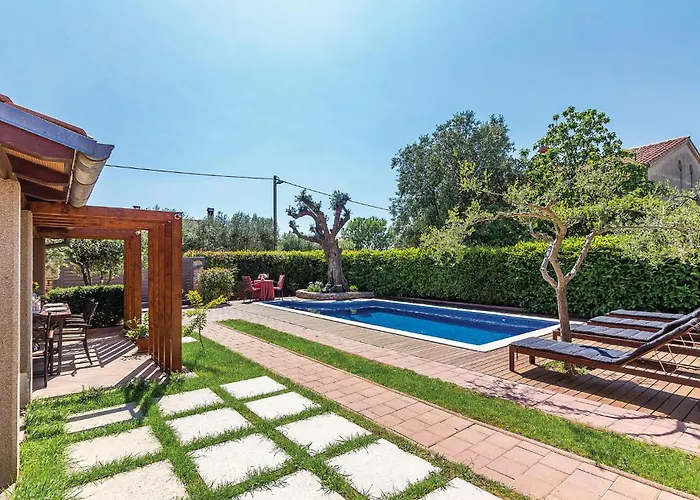 Cozy In With Wifi Póla