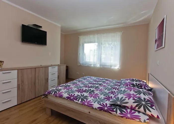 Cozy In With Wifi Póla